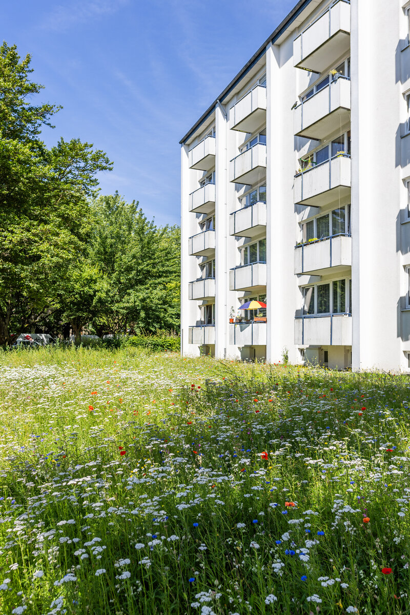 Blühwiese im Quartier Vierbergen | © Mike Schäfer